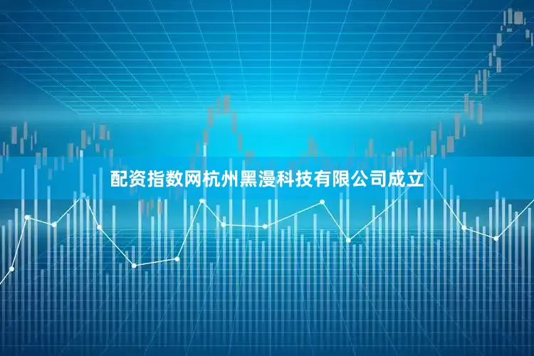 配资指数网杭州黑漫科技有限公司成立